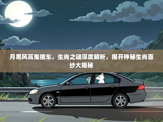 月黑风高鬼撞车，生肖之谜深度解析，揭开神秘生肖面纱大揭秘