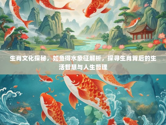 生肖文化探秘，如鱼得水象征解析，探寻生肖背后的生活智慧与人生哲理