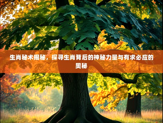 生肖秘术揭秘，探寻生肖背后的神秘力量与有求必应的奥秘