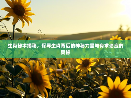 生肖秘术揭秘，探寻生肖背后的神秘力量与有求必应的奥秘