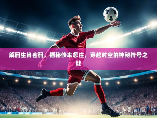 解码生肖密码，揭秘倏来忽往，穿越时空的神秘符号之谜