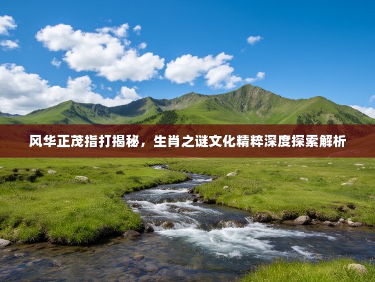 风华正茂指打揭秘，生肖之谜文化精粹深度探索解析