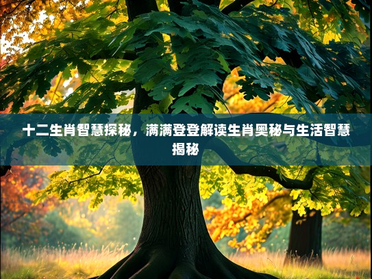 十二生肖智慧探秘，满满登登解读生肖奥秘与生活智慧揭秘