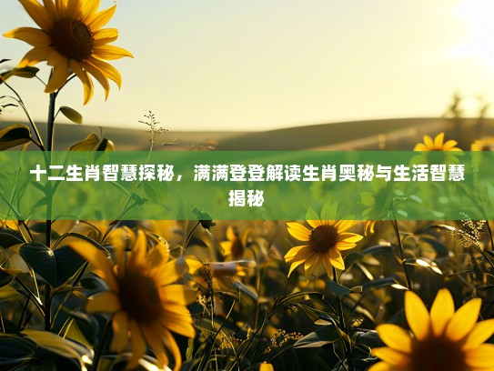 十二生肖智慧探秘，满满登登解读生肖奥秘与生活智慧揭秘