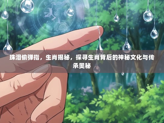珠泪偷弹指，生肖揭秘，探寻生肖背后的神秘文化与传承奥秘