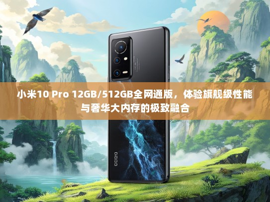 小米10 Pro 12GB/512GB全网通版，体验旗舰级性能与奢华大内存的极致融合