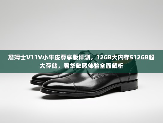詹姆士V11V小牛皮尊享版评测，12GB大内存512GB超大存储，奢华触感体验全面解析