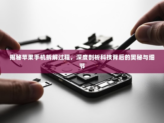 揭秘苹果手机拆解过程，深度剖析科技背后的奥秘与细节