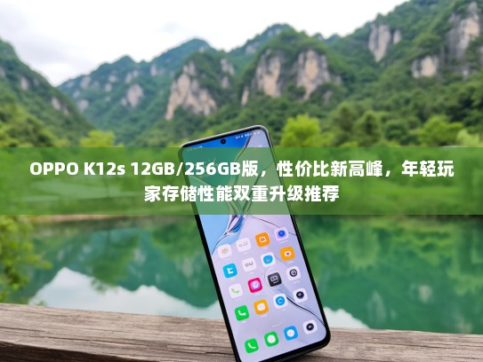 OPPO K12s 12GB/256GB版，性价比新高峰，年轻玩家存储性能双重升级推荐