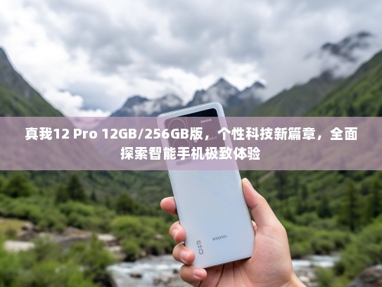 真我12 Pro 12GB/256GB版，个性科技新篇章，全面探索智能手机极致体验