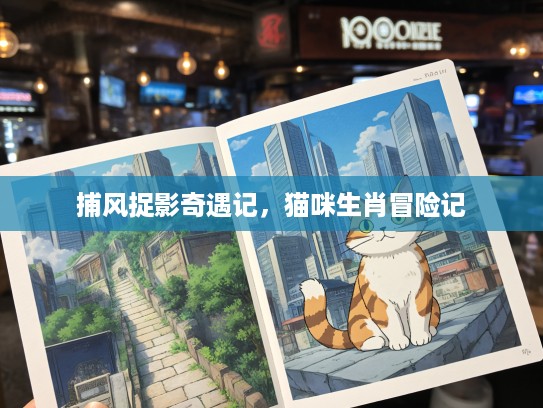 捕风捉影奇遇记，猫咪生肖冒险记