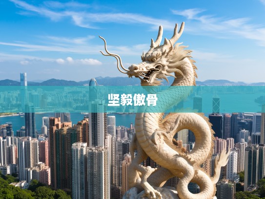 宁折不弯生肖揭秘，揭秘生肖龙背后的坚毅与傲骨故事